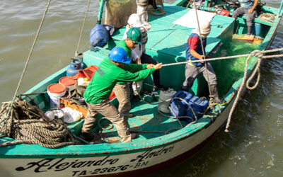 Pesca Sostenible: Garantizando el Futuro de Nuestros Océanos y Ríos