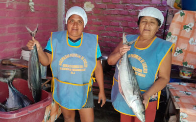 Comedores Empadronados